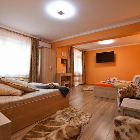 Apartament Trident Haţeg Εξωτερικό φωτογραφία